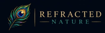 Refracted Nature